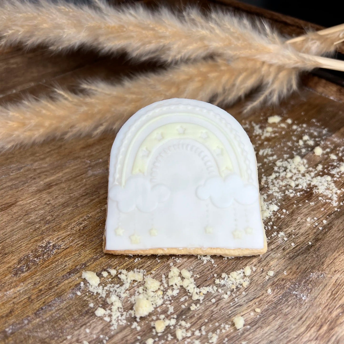 Biscuit arc en ciel