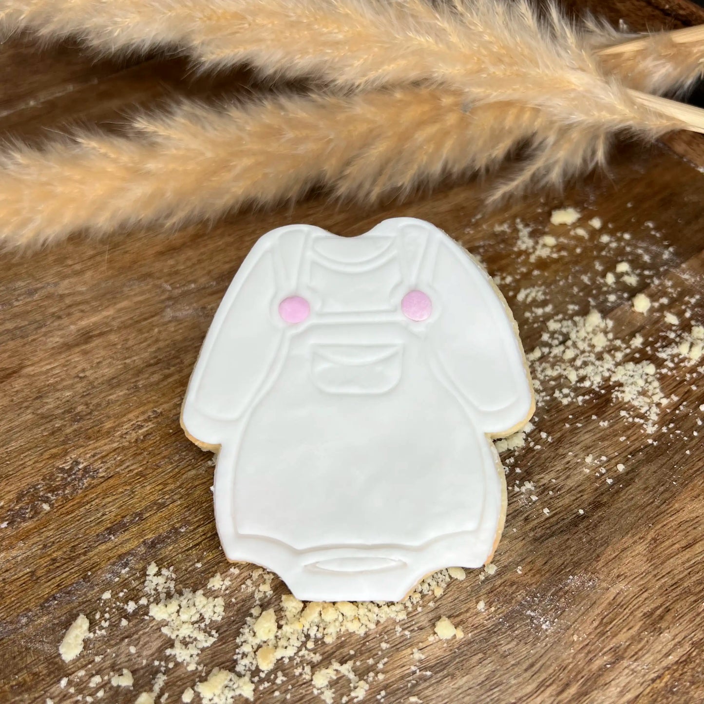 Biscuit body